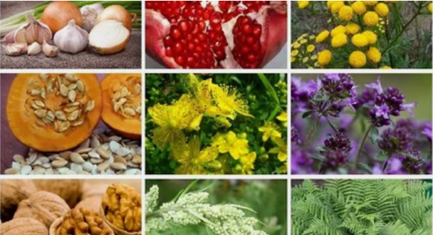 Liečba parazitov v ľudskom tele ľudovými prostriedkami